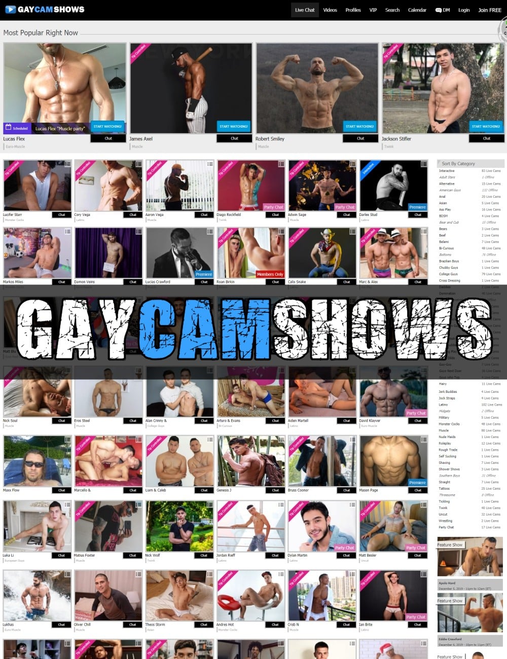 Gay Cam Shows