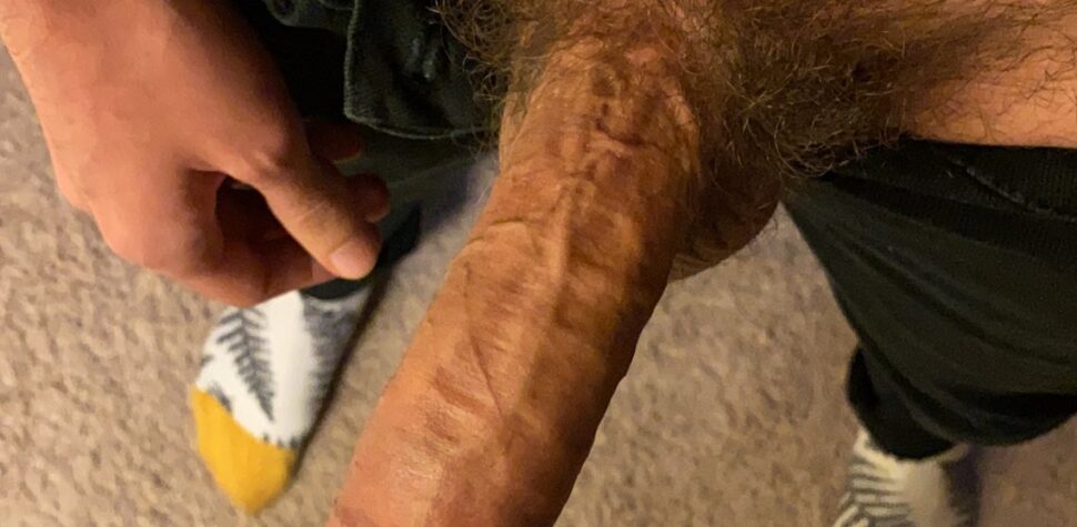 Hairy big hard dick